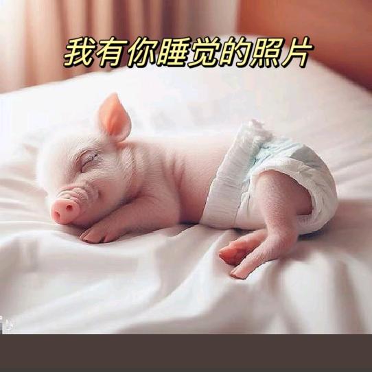 ℒᎭℯ⃝ 阿良哥....