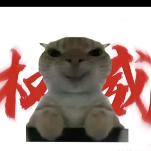 权威