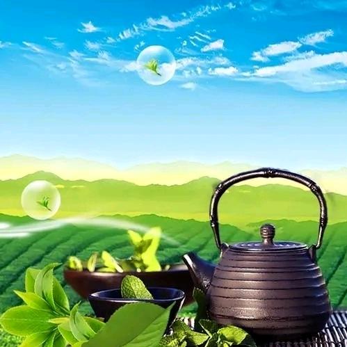 陇原罐罐茶（猫山大叔）