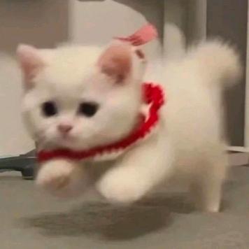 蛋名十九月快乐生！！！