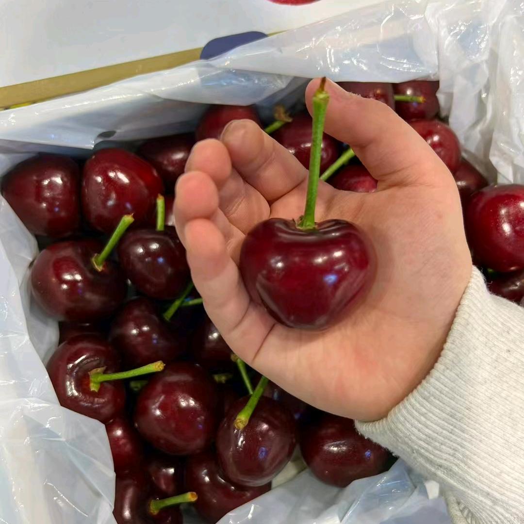 我在烟台卖樱桃🍒