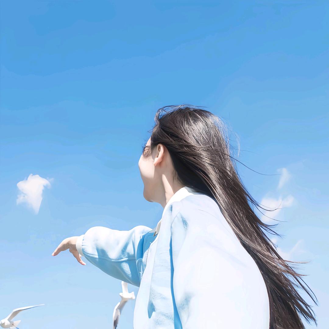 流星说它是多余的🐳