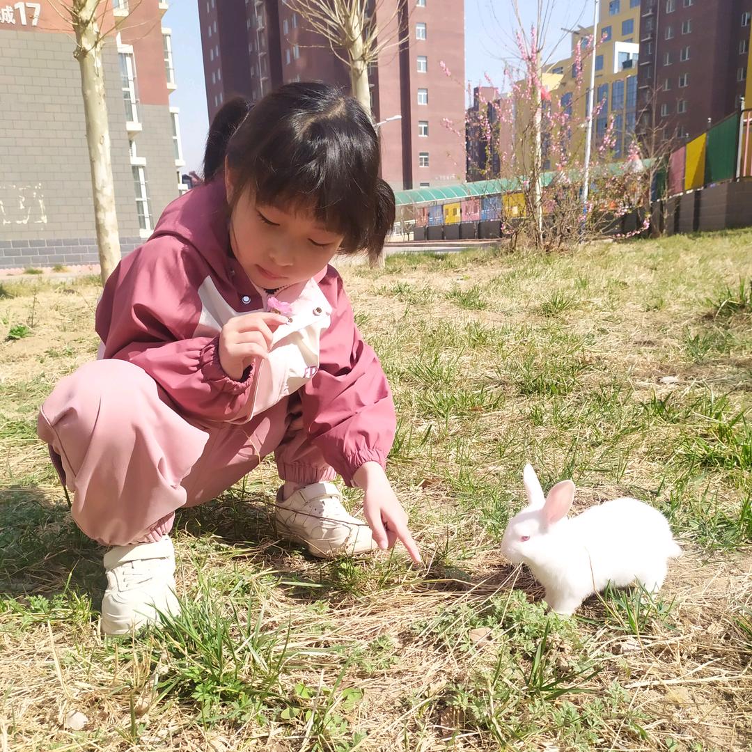 兔小豆妈妈