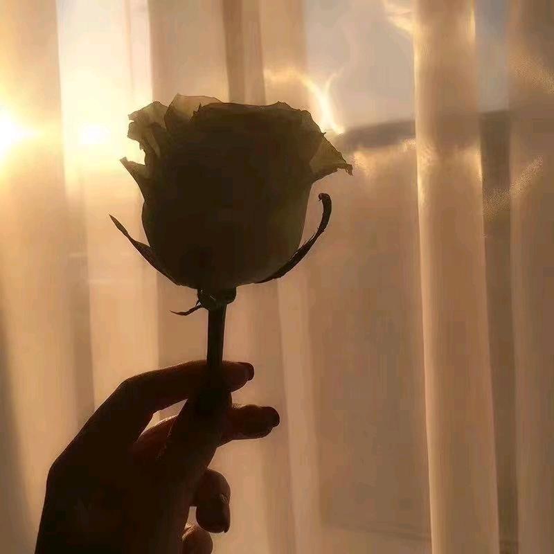 💔心@已@打@烊💔 ➰