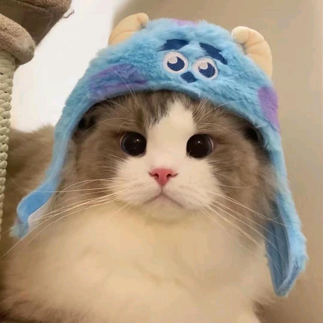 天天开心_