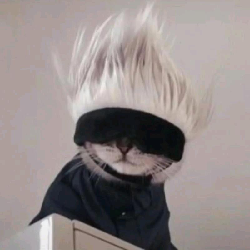 小崽