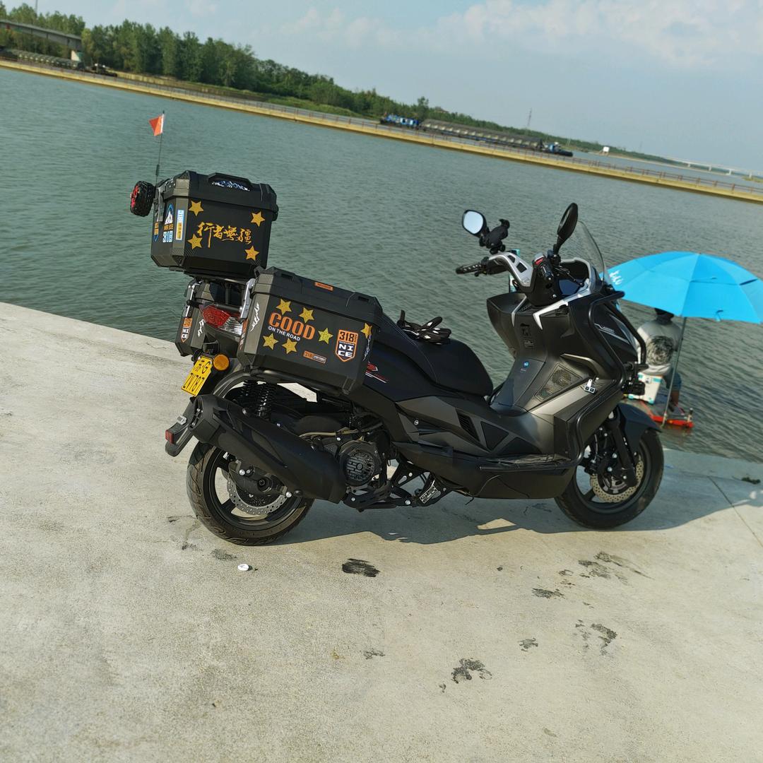 我是一只小小鸟