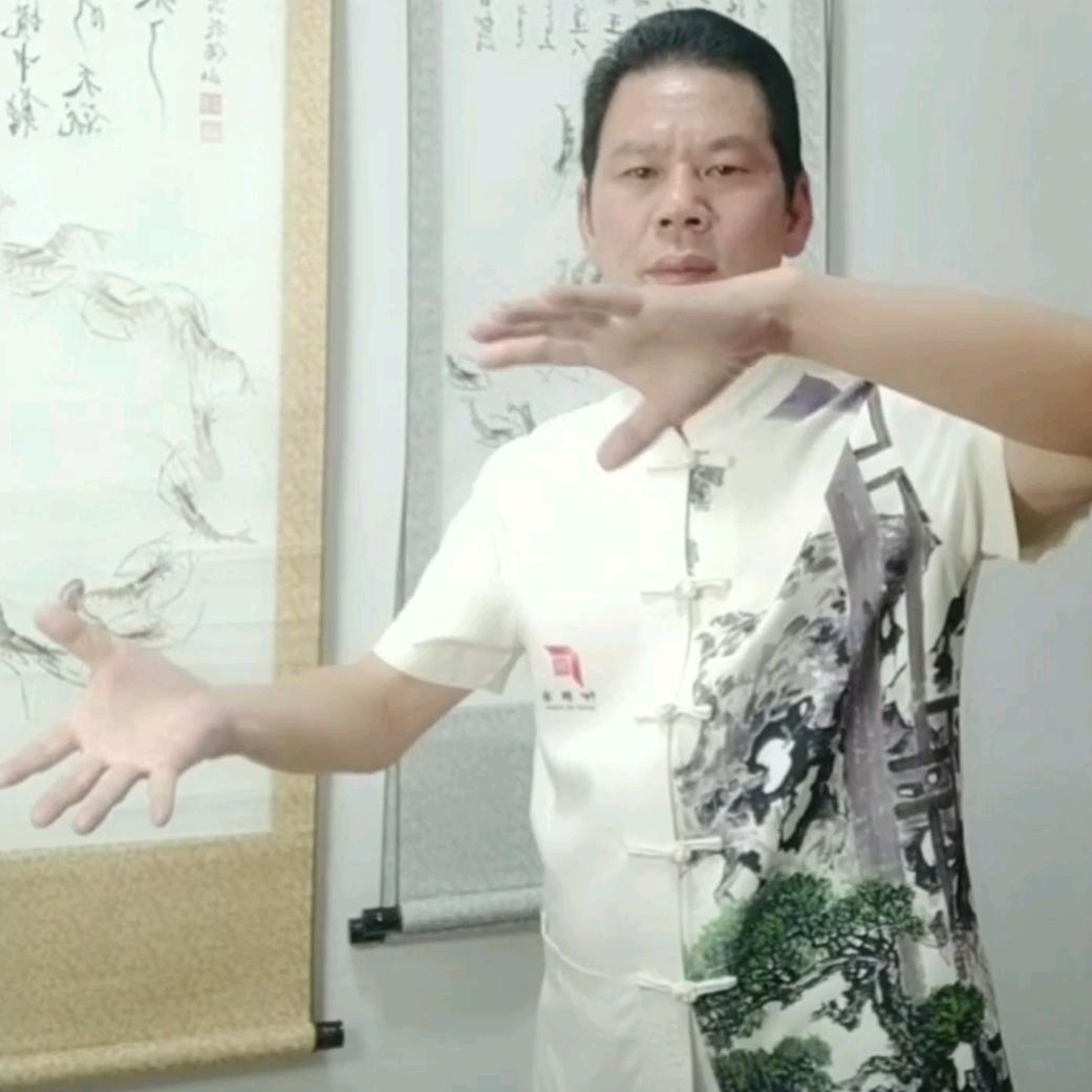 斌进彩墨虾