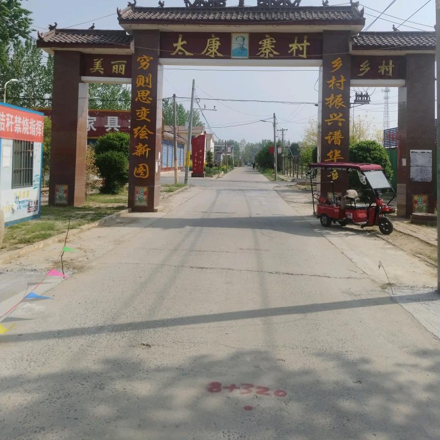 叶县水寨批发鸡鸭鹅苗