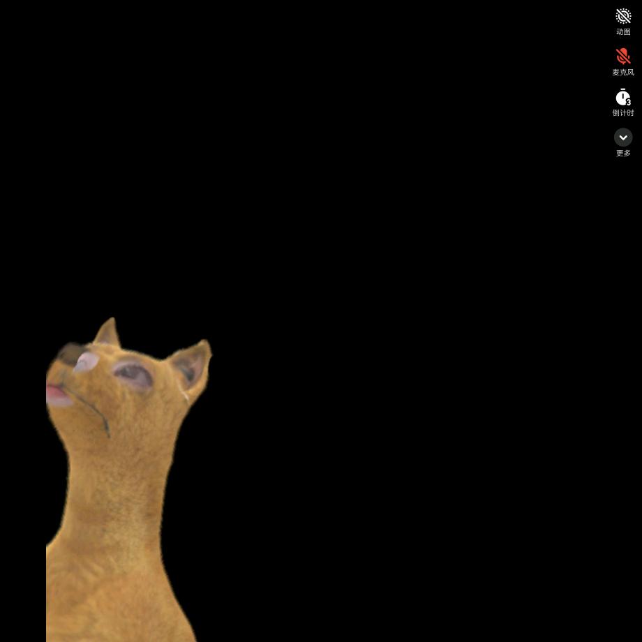 www