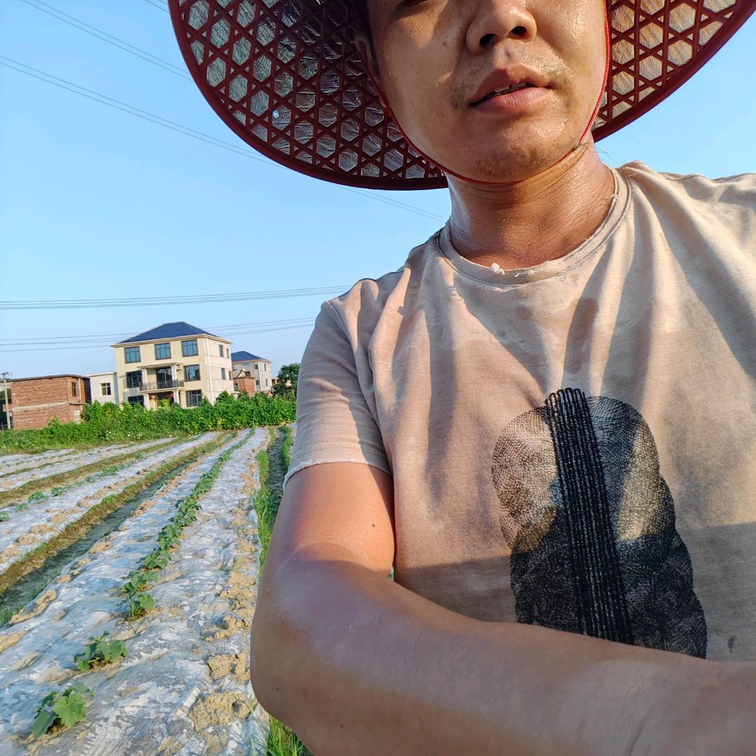 粗粮专业户