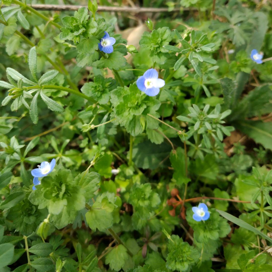 😀 幻影