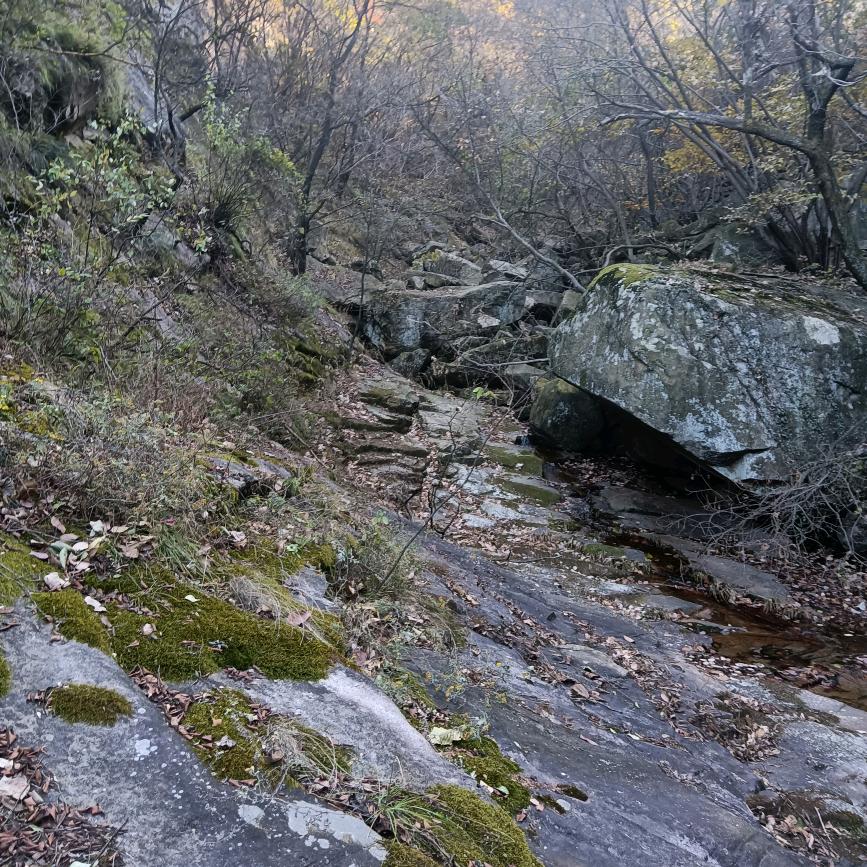 陆姐山货（小号）