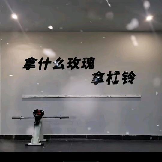 撸铁猫