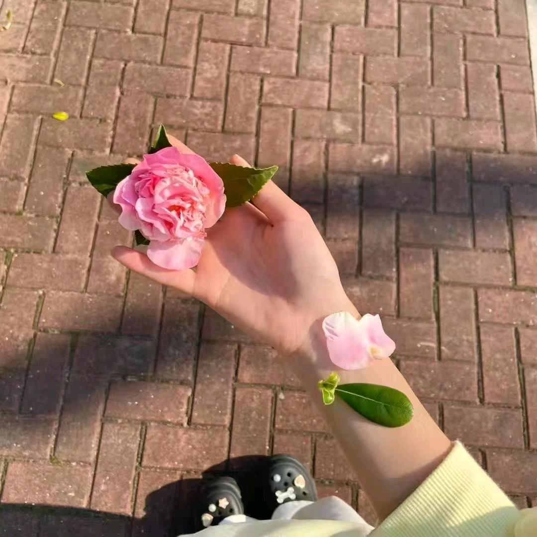 海欧