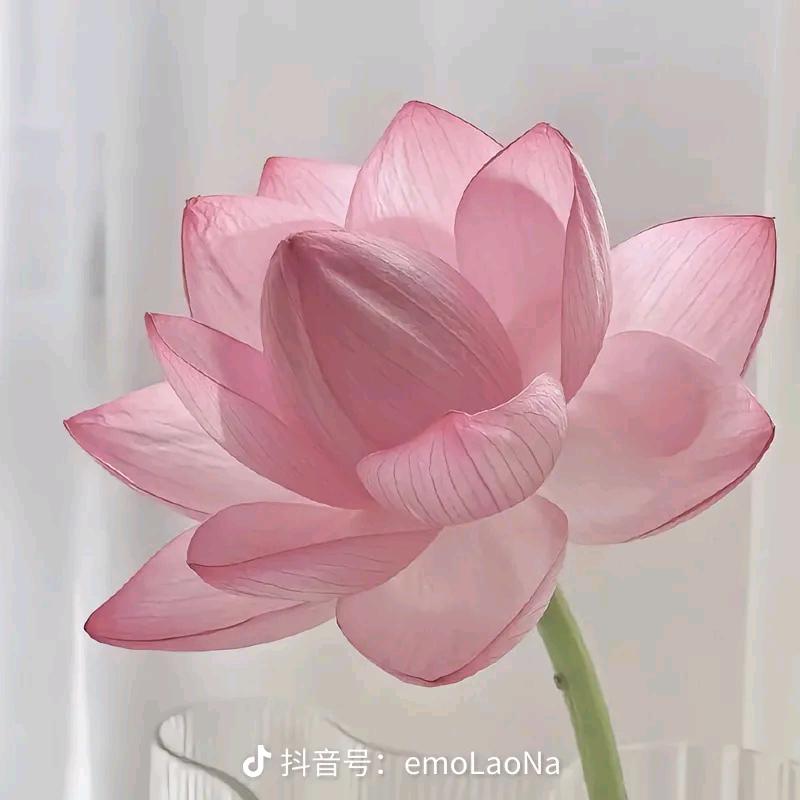 李克侠