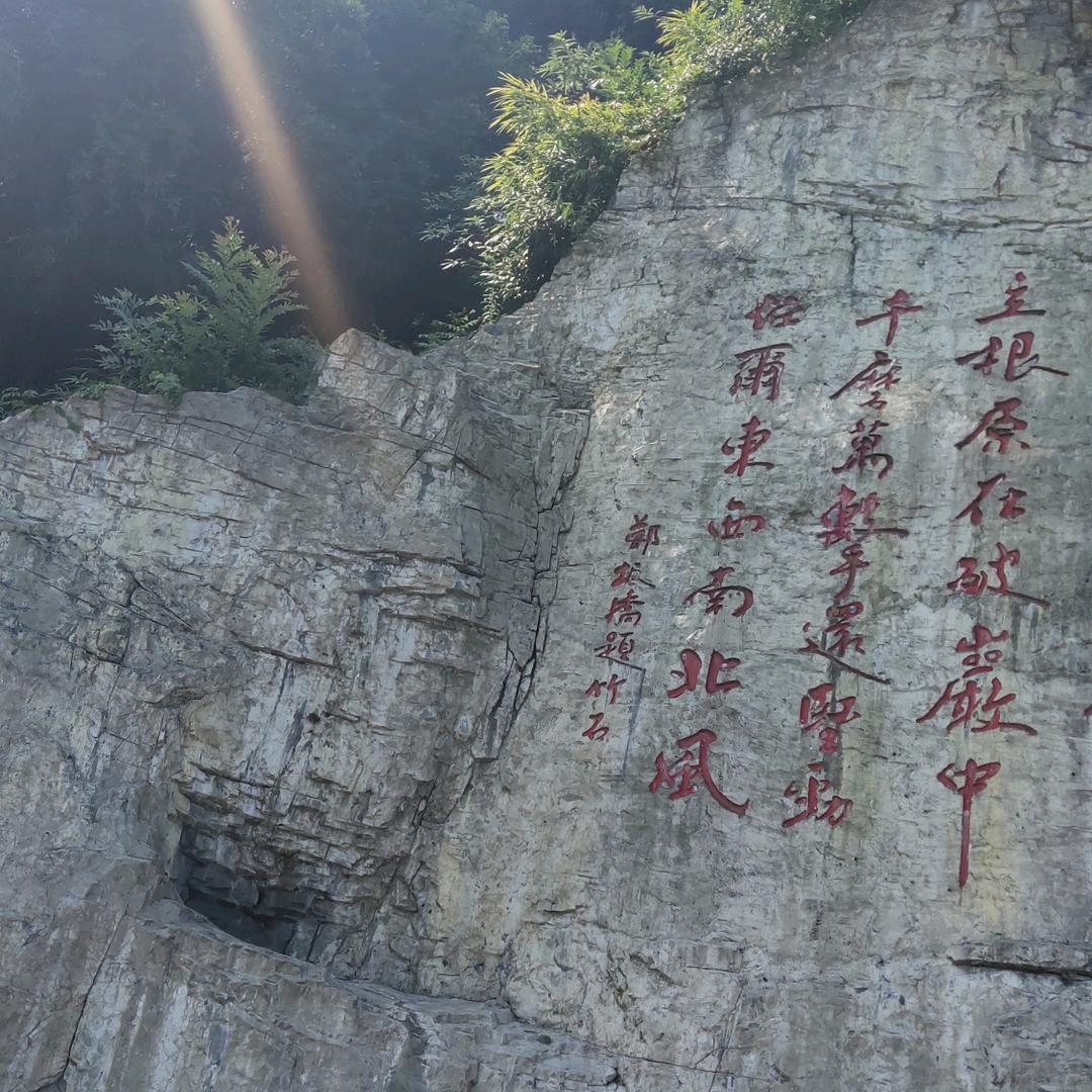 旅行家