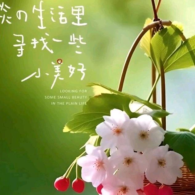 依依💫