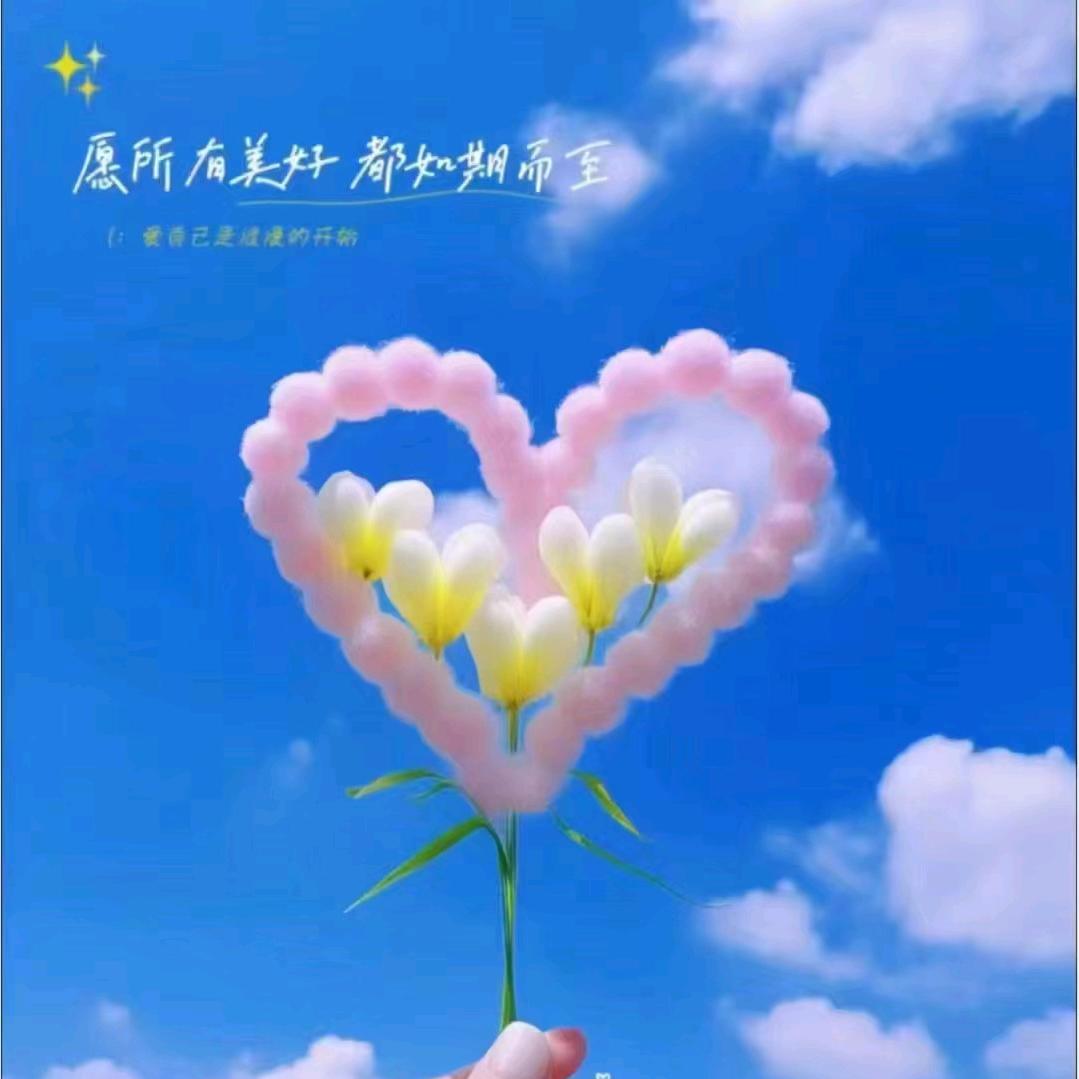 🌻夏天老师🌻