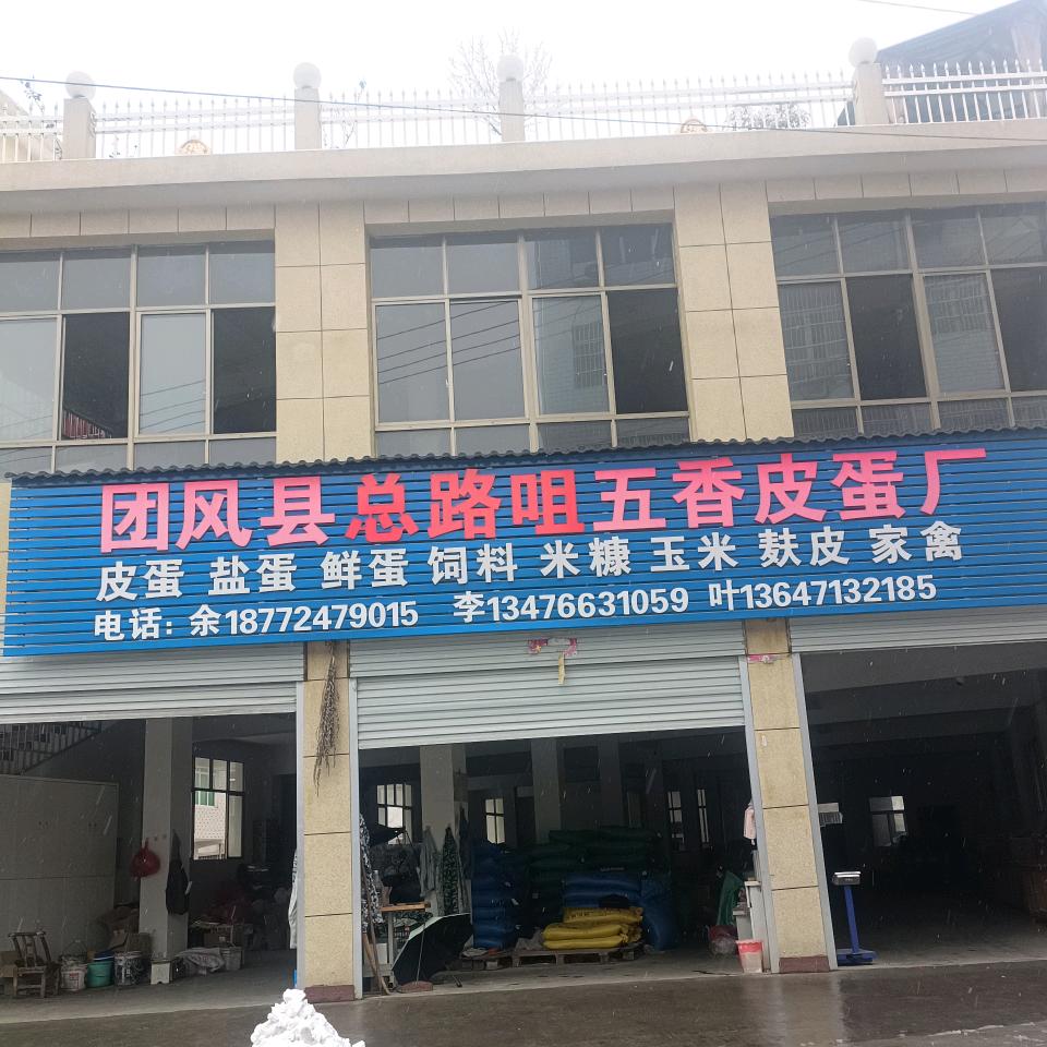 总路咀五香皮蛋厂（禽苗出售）