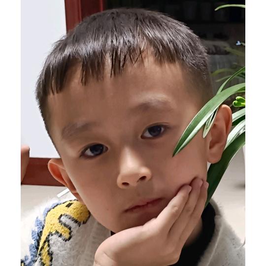 一忛风顺
