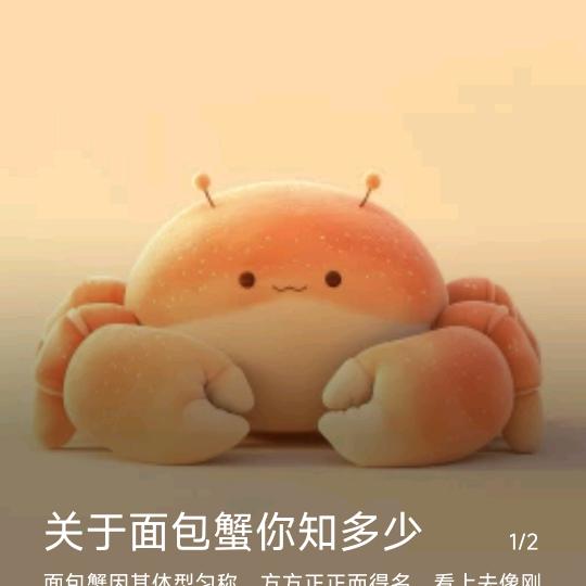 君君啊