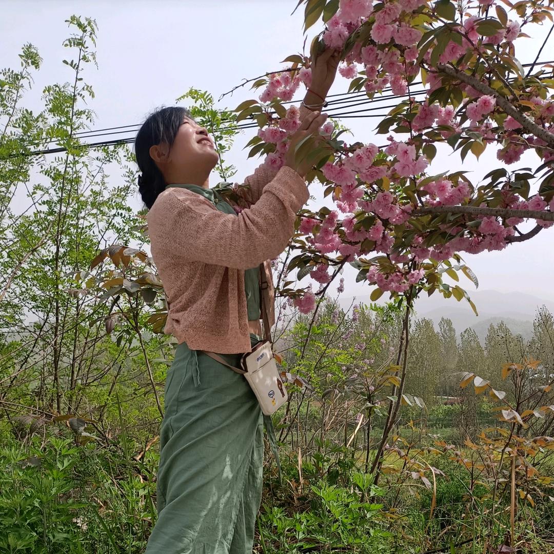 🌸小🌸蕊