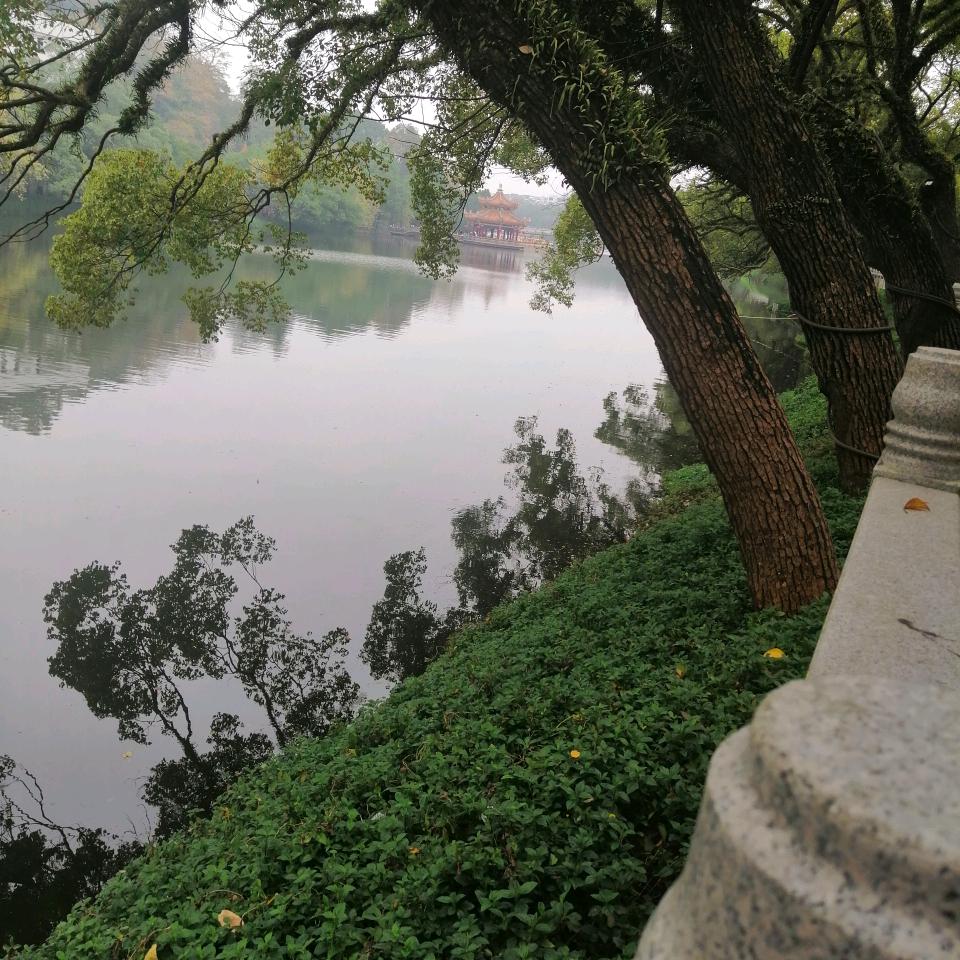 牛肉丸米粉