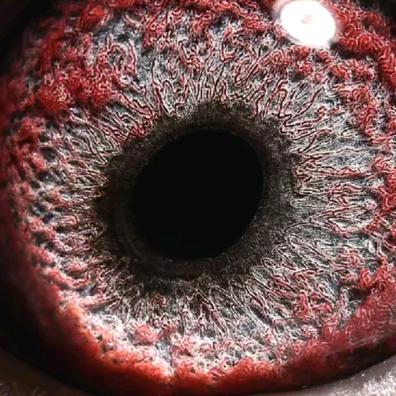 天道无亲，常与人善