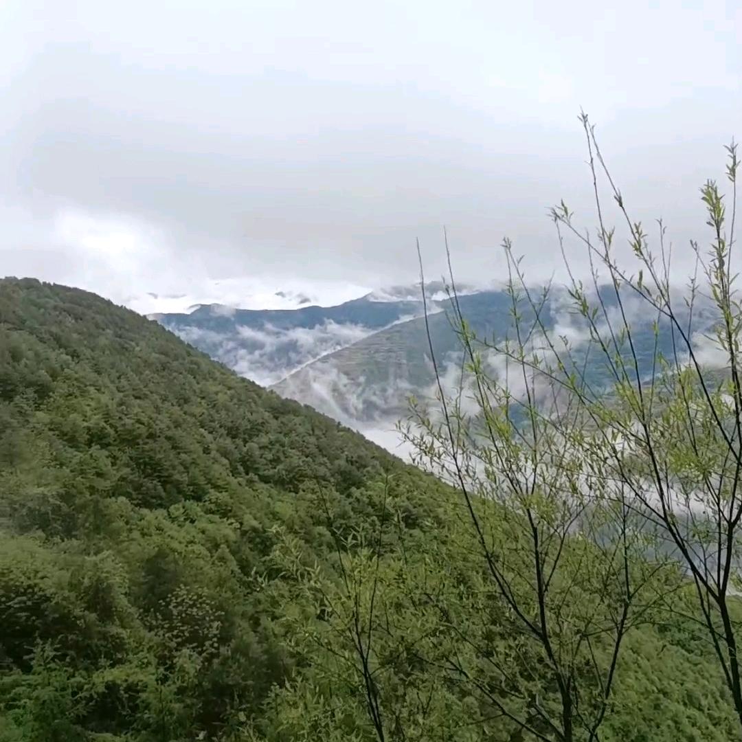 远行