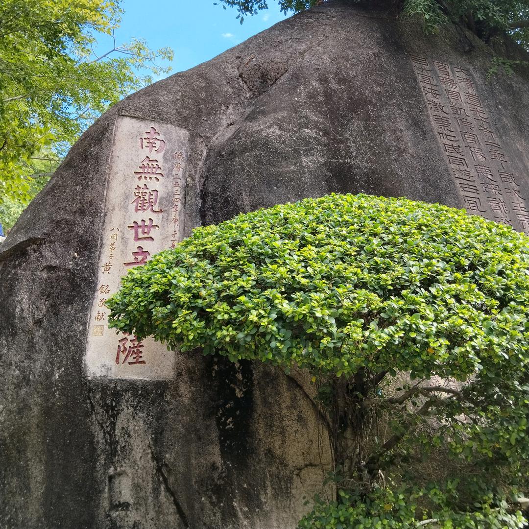 莓有烦恼ᩚএ᭄