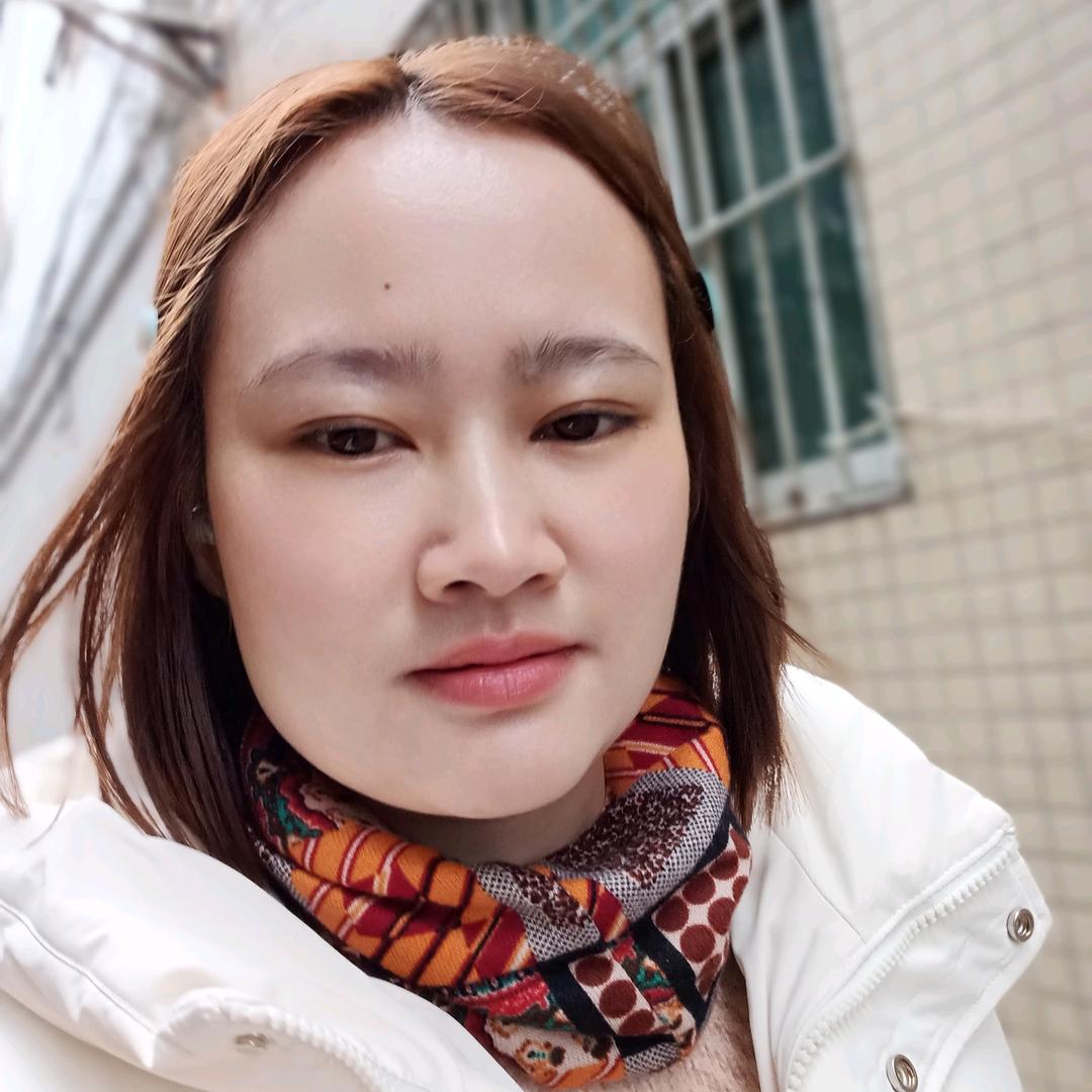 燕子飞飞，小燕子