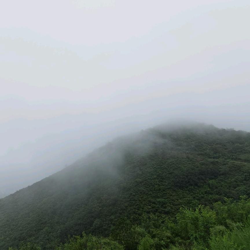 不会做鱼的老默