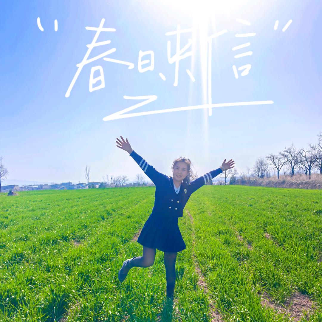 木子青