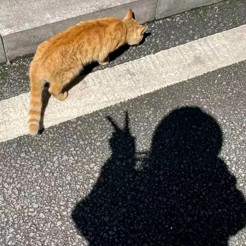 佳一格