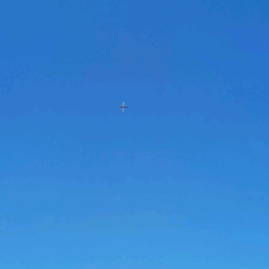 沉睡