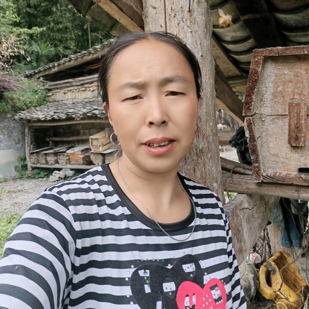 养蜂姐