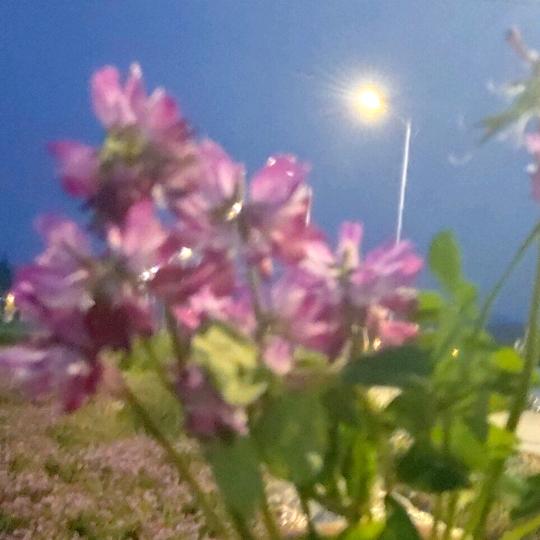 永.相伴