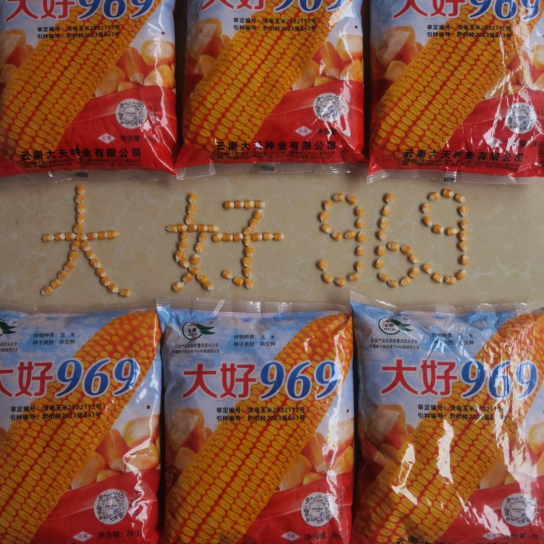 穗丰种业