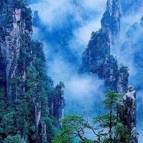 落叶随水流