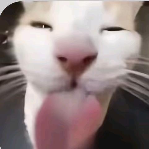 暗区寻雾