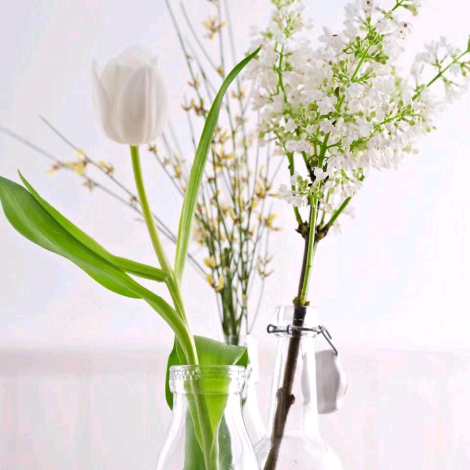 一天一句话