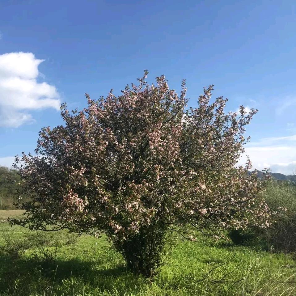 昭通民億甄选2号