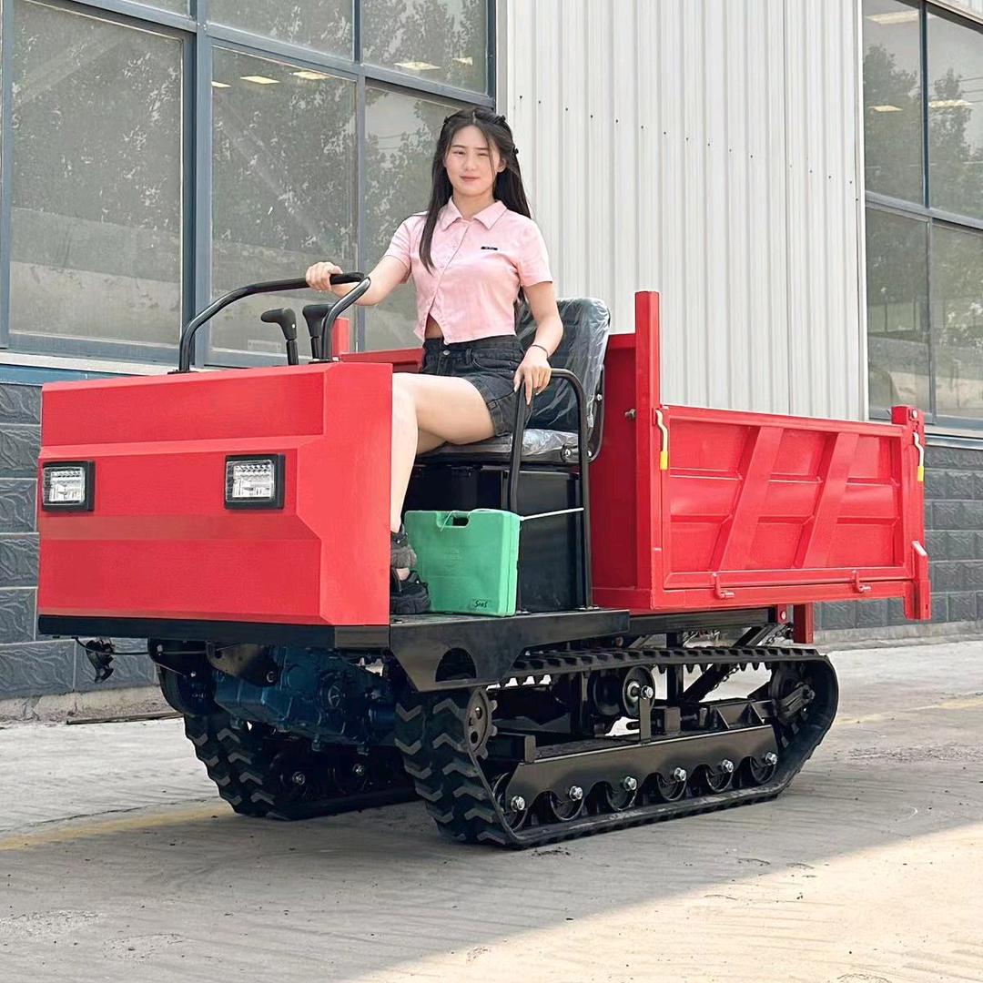 安宇爬山虎履带运输车
