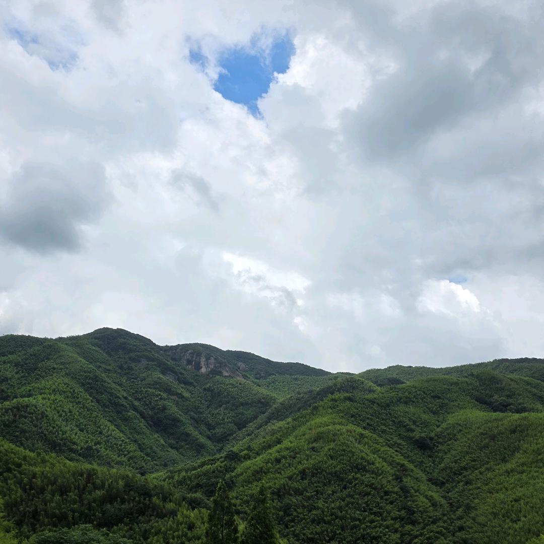 🌈西多士