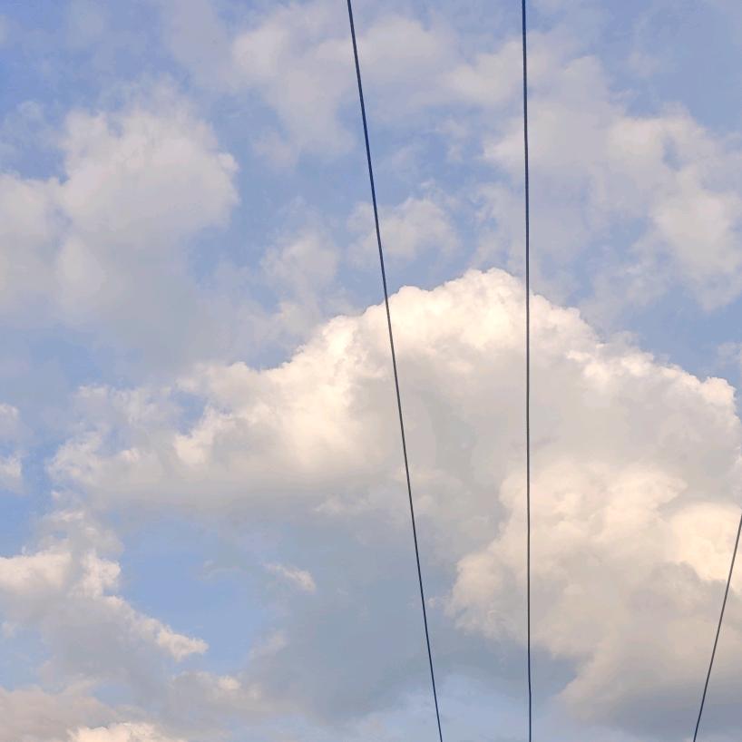 不是你想的阿伟欸