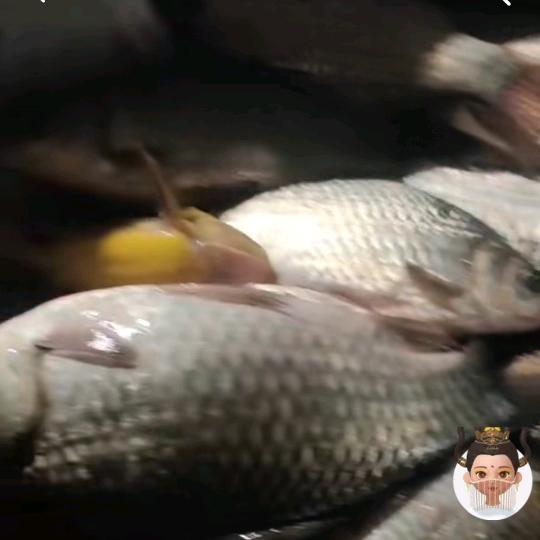 缘聚缘散