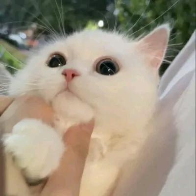 光临