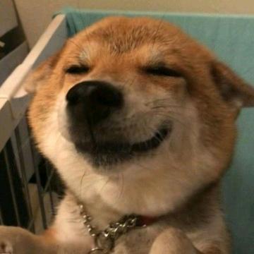 钓鱼小甘