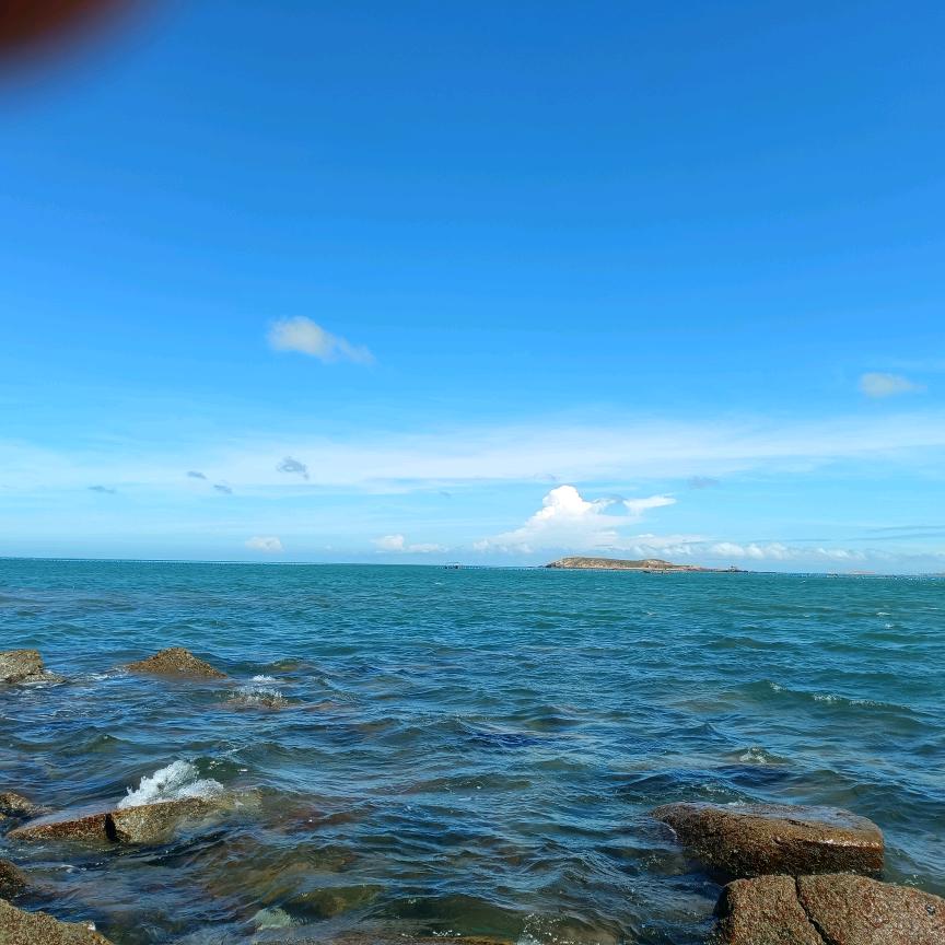 浪浪姗